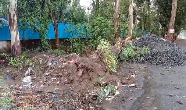 Power supply disrupted in more than 400 houses in Valsad Gujarat Rain: વલસાડમાં વૃક્ષ વીજ લાઈન પર પડતા વીજ થાંભલાઓ ધરાશાયી, 400થી વધુ ઘરોમાં વીજ પુરવઠો ખોરવાયો