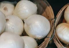 ‘ਚਿੱਟਾ ਪਿਆਜ ਵੀ ਬਹੁਤ ਫਾਇਦੇਮੰਦ’, ਇਸ ਨੂੰ ਖਾਣ ਨਾਲ ਦੂਰ ਹੋ ਸਕਦੀਆਂ ਸਰੀਰ ਦੀਆਂ ਇਹ ਮੁਸ਼ਕਿਲਾਂ