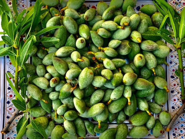 Almond Health Benefits Many Advantages Of Eating Green Almonds In Hindi Green Almonds: कई बीमारियों से निजात दिला सकते हैं 'हरे बादाम', फायदे जानकर खाने को हो जाएंगे मजबूर