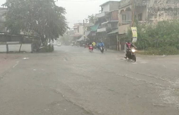 Gujarat rain update to know how much rain falls in Gujarat? Gujarat Rain Update:મેઘરાજાએ રાજ્યને ઘમરોળ્યું, જાણો ક્યાં જિલ્લામાં કેટલો પડ્યો વરસાદ, શું છે સ્થિતિ