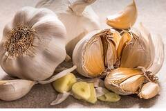 Lifestyle:ওজন ঝরাতে ভরসা থাকুক রসুনে