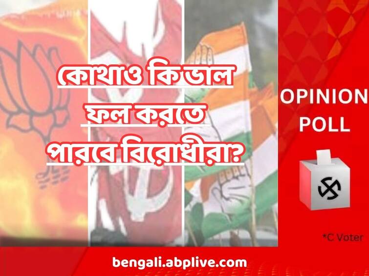 Panchayat Election Opinion Poll 2023 C Voter Zilla Parishad Result Prediction where opposition can do well Panchayat Election Opinion Poll 2023 :  জেলা পরিষদে কোথাও কি ভাল ফল করতে পারবে বিরোধীরা? কী বলছে C-Voter এর সমীক্ষা ?