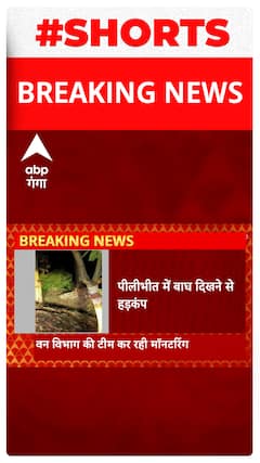 Pilibhit में रिहायशी इलाके में बाघ दिखने से मचा हड़कंप, लोगों ने बनाया वीडियो