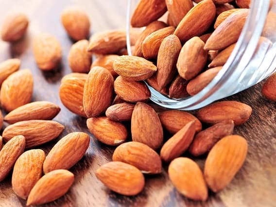 Almond : How to Plant Almond Trees at Home, Will Earn Huge Profits Every Year Almond : નથી ખરીદી શકતા મોંઘીદાટ બદામ? તો હવે ઘરે જ ઉગાડો તેનું ઝાડ