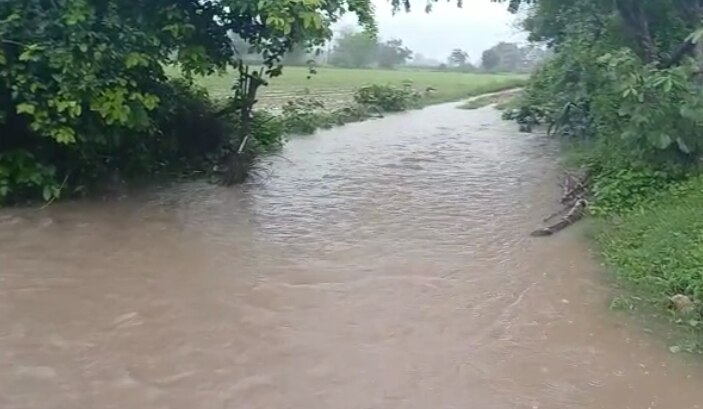 junagadh Rain: જૂનાગઢ જિલ્લામાં જળપ્રલય જેવી સ્થિતિ, ખેતરો બેટમાં ફેરવાયા