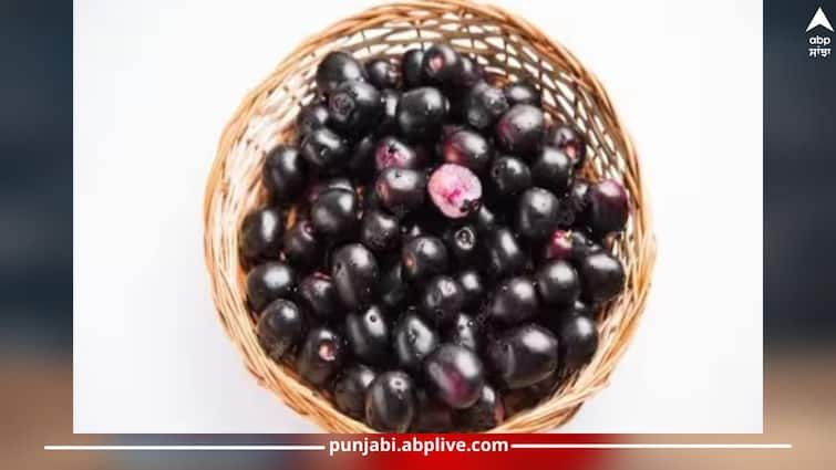 jamun-seed-benefits-in-diabetes-constipation-and-many-more-health-news ਬੇਕਾਰ ਸਮਝ ਕੇ ਸੁੱਟ ਦਿੰਦੇ ਹੋ ਜਾਮੁਣ ਦੇ ਬੀਜ ਨੂੰ ਤਾਂ ਜਾਣੋ ਇਸ ਦੇ ਫਾਇਦਿਆਂ ਬਾਰੇ... ਕਿਸੇ ਵਰਦਾਨ ਤੋਂ ਘੱਟ ਨਹੀਂ ਹੈ