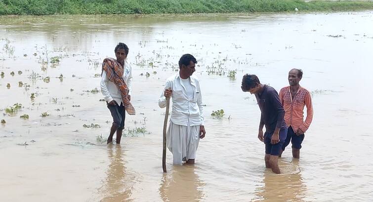 Heavy Rain: Farmer farm has been lost due to heavy rainfall in this days, after biporjoy cyclone Heavy Rain:  વાવાઝોડા બાદ કચ્છના ખેડૂતોને વરસાદે ધોયા, આ મોંઘા પાકોને થયું પારાવાર નુકસાન
