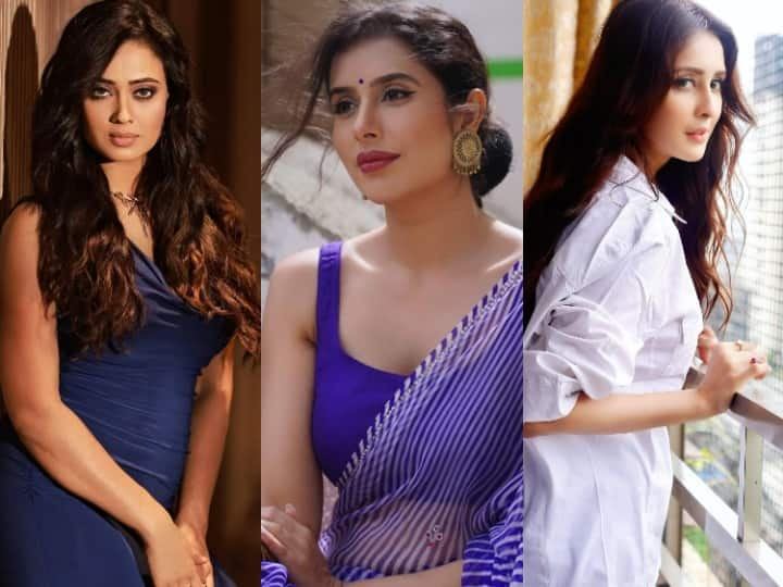 TV Actress: हम आपको उन हसीनाओं से रूबरू करवा रहे हैं जिन्होंने एक नहीं बल्कि दो बार शादी की लेकिन दोनों ही शादियां असफल रही. फिर भी इन एक्ट्रेसेस का हौंसला नहीं टूटा और आज ये लग्जरी लाइफ जी रही हैं.