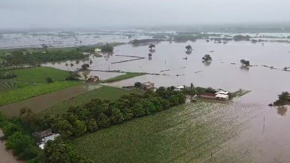 Gujarat Rain:  આગામી 24 કલાક 5 જિલ્લા માટે ભારે, જૂનાગઢ, અમરેલી, નવસારી, વલસાડ અને ડાંગમાં ભારે વરસાદની આગાહી