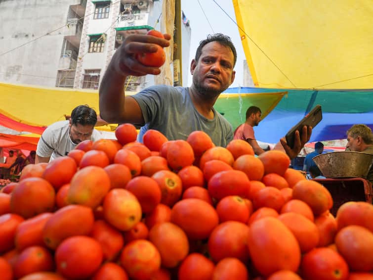 Tamil Nadu Government introduces tomato sales in ration shops Tomato Price Drop: લો કરો વાત! હવે આ રાજ્યની સરકાર ટામેટા વેચશે, જાણો એક કિલોનો કેટલો રહેશે ભાવ?