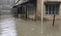 Weather Forecast: આગામી 24 કલાક ગુજરાત માટે ભારે, આ જિલ્લામાં અતિ ભારે વરસાદની આગાહી