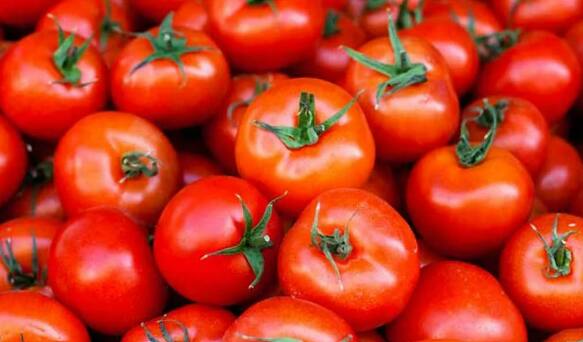 टोमॅटो खाणं टाळा: झोपण्यापूर्वी टोमॅटो खाऊ नये. टोमॅटोमध्ये ऑक्सालिक अॅसिड असते. ज्यामुळे सतत ढेकर येणे, अॅसिडिटी होणे इत्यादी समस्या जाणवतात. ज्यामुळे झोप लागत नाही. त्यामुळे झोपण्याआधी टोमॅटो खाणं टाळा.