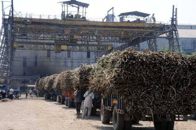 Sugarcane payment of Rs. 10.59 crore has been sent to farmers' accounts Nawanshahr News : ਸਹਿਕਾਰੀ ਖੰਡ ਮਿਲ ਨੇ ਕਿਸਾਨਾਂ ਦੇ ਖਾਤੇ 'ਚ ਪਾਏ ਪੈਸੇ, 10 ਕਰੋੜ ਤੋਂ ਵੱਧ ਦੀ ਰਕਮ ਜਾਰੀ 