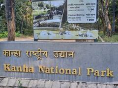 आज से तीन माह के लिए नहीं होंगे टाइगर के दीदार, मानसून में जंगल सफारी पर ब्रेक