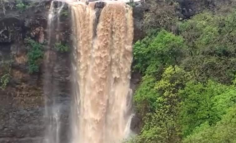 Tapi Rain: Chimer WaterFall is now an active due to heavy rain in tapi district Tapi Rain: સાંબેલાધાર વરસાદથી તાપીનો ચીમેર ધોધ એક્ટિવ થયો, 300 ફૂટની ઉંચાઇએથી પડે છે નીચે.....