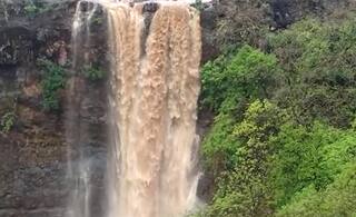 Tapi Rain: સાંબેલાધાર વરસાદથી તાપીનો ચીમેર ધોધ એક્ટિવ થયો, 300 ફૂટની ઉંચાઇએથી પડે છે નીચે.....