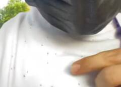 न्यूयॉर्क शहर में आया कीड़ों का तूफान, दहशत में आ गए लोग, ट्वीट कर बता रहे अपनी परेशानी