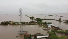 Mangarol PHOTO: ઘેડ પંથકમાં જળબંબાકાર,ખેતરો બેટમાં ફેરવાયા, જુઓ ડ્રોન નજારો