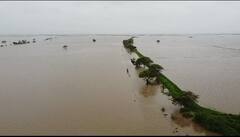 Mangarol PHOTO: ઘેડ પંથકમાં જળબંબાકાર,ખેતરો બેટમાં ફેરવાયા, જુઓ ડ્રોન નજારો