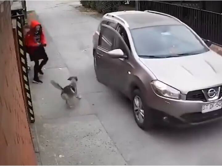 Dog Saves Girl From Kidnappers Viral Video On Social Media किडनैप होने वाली थी लड़की, कुत्ते ने बदमाशों को सिखाया ऐसा सबक, छोड़कर भागे मैदान, देखें Video