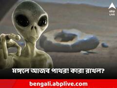মঙ্গলে মিলল ডোনাটের মতো আজব দেখতে পাথর! কারা রেখে গেল, ধরা পড়ল ক্যামেরায়?