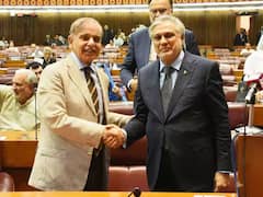 3 अरब डॉलर की मदद मिलने पर खुश हुए पाक PM शहबाज शरीफ, कहा- चीन हमारे लिए मददगारी साबित हुआ