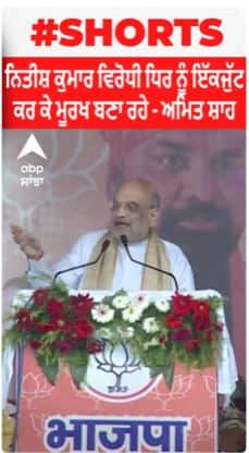 Amit Shah : ''Nitish Kumar ਵਿਰੋਧੀ ਧਿਰ ਨੂੰ ਇੱਕਜੁੱਟ ਕਰ ਕੇ ਮੂਰਖ ਬਣਾ ਰਹੇ''