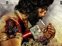 ‘యానిమల్’ లవర్స్‌కు బ్యాడ్ న్యూస్ - సినిమా పోస్ట్‌పోన్ చేసిన నిర్మాతలు!