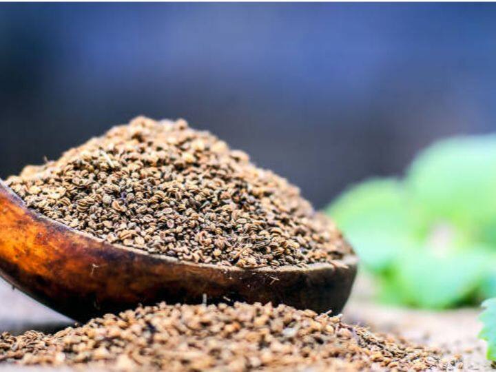 भारत में अजवाइन की खेती की बात करें तो यह देश के हर हिस्से में उगाया जाता है. भारत में इसकी खेती हरियाणा, पंजाब, उत्तर प्रदेश, दिल्ली, राजस्थान, गुजरात, मध्य प्रदेश, महाराष्ट्र, छत्तीसगढ़, तमिलनाडु, कर्नाटक, आंध्र प्रदेश और तेलंगाना तक में होती है.
