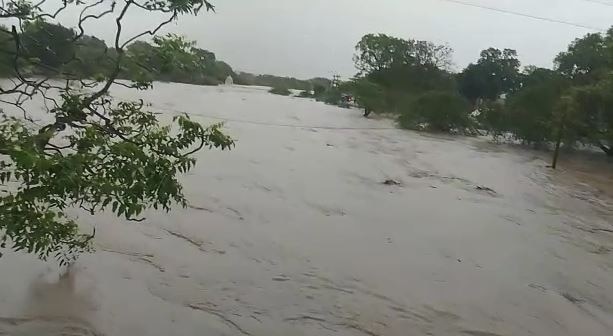 Gujarat Monsoon: અનરાધાર વરસાદથી જુનાગઢ જિલ્લાના 8 ડેમ ઓવરફ્લો, 41 ગામોને કરવામાં આવ્યા એલર્ટ, NDRF ની ટીમ સ્ટેન્ડબાય