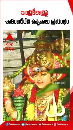 విజయవాడలో శాకంబరీ ఉత్సవాలు ప్రారంభం