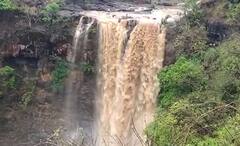 Chimer WaterFall Photos: 300 ફૂટની ઉંચાઇથી નીચે પડતા તાપીના ચીમર ધોધનો અદભૂત નજારો, જુઓ.....