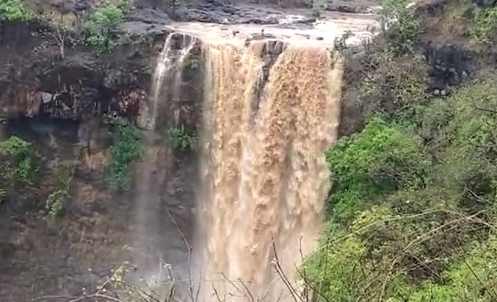 આજે તાપીમાં પડેલા વરસાદે જિલ્લાના મોટા ભાગના ધોધને જીવત કરી દીધા છે. જિલ્લામાં છેલ્લા 24 કલાકથી ચારેય બાજુ વરસાદ પડી રહ્યો છે, આ કારણે ચિમેર ધોધ સક્રિય થયો છે.