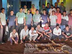 छत्तीसगढ़: इस नेशनल पार्क से बाघ की खाल के साथ 7 आरोपी हुए गिरफ्तार, 2 अब भी फरार