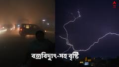 Weather update: বজ্রবিদ্যুৎ-সহ প্রবল বর্ষণ এই জেলাগুলিতে