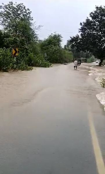 Gujarat Rains: વલસાડના ધરમપુરમાં ફાટ્યું આભ, જાણો કેટલો ખાબક્યો વરસાદ