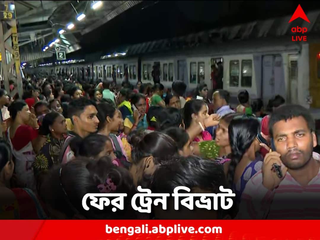 Train movement disrupted on Sealdah South Section Train Disruption: ওভারহেড তার ছিঁড়ে বিপত্তি, শিয়ালদা দক্ষিণ শাখায় ব্যাহত ট্রেন চলাচল