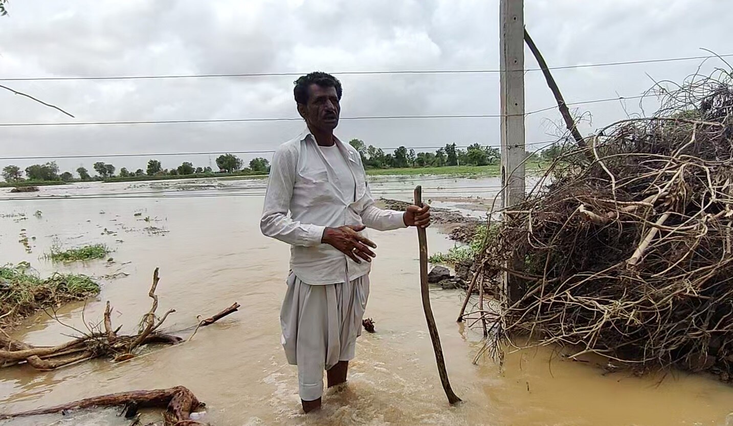 Heavy Rain:  વાવાઝોડા બાદ કચ્છના ખેડૂતોને વરસાદે ધોયા, આ મોંઘા પાકોને થયું પારાવાર નુકસાન