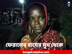 কাঁকড়া ধরতে গিয়ে বাঘের মুখে, মাথায় এলোপাথাড়ি থাবা ডোরাকাটার, স্বামীকে বাঁচিয়ে আনলেন স্ত্রী