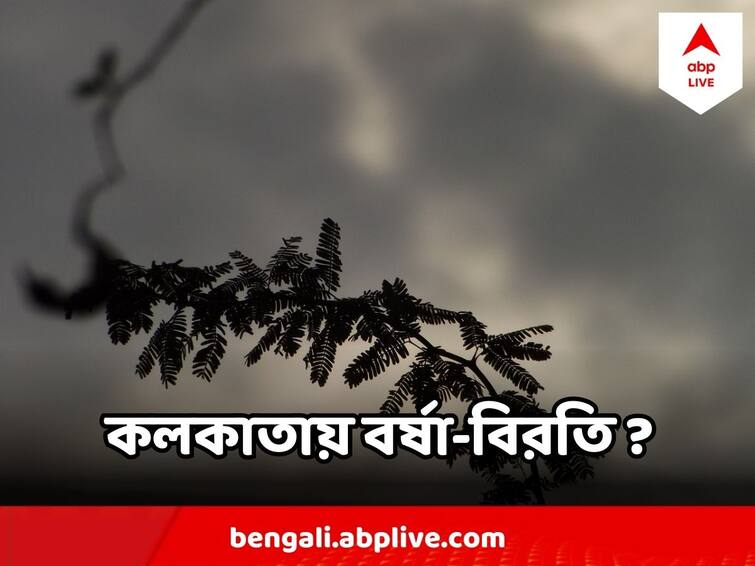 West Bengal Weather Rainfall decreases in South Bengal Temperature Shoots Up In Kolkata District West Bengal Weather : দক্ষিণবঙ্গে কমল বৃষ্টি, এক ঝটকায় বাড়ল তাপমাত্রা, ফের কবে মিলবে গরম থেকে স্বস্তি?