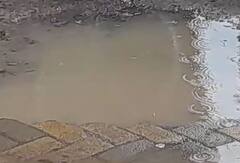 Rain : आज कोकणसह पश्चिम महाराष्ट्र आणि विदर्भात पावसाचा यलो अलर्ट