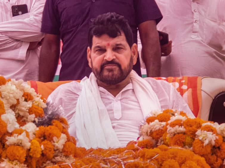 Delhi Court To Decide On Cognisance Of Chargesheet Against WFI Chief Brij Bhushan Singh On July 7 wrestlers Delhi Court To Decide On Cognisance Of Chargesheet Against Brij Bhushan Singh On July 7
