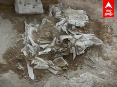 Boothinatham Excavation : பூதிநத்தம் அகழாய்வு!கிடைத்த விசித்திர எலும்புகள்!கல் ஆயுதங்கள் கண்டெடுப்பு