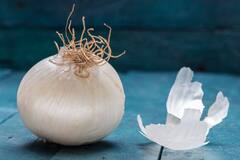 Health Tips : पांढरा कांदा आहे औषधी, ह्रदयाचे आरोग्य सुधारून कर्करोगापासूनही बचाव, 'हे' फायदे माहितीयत?