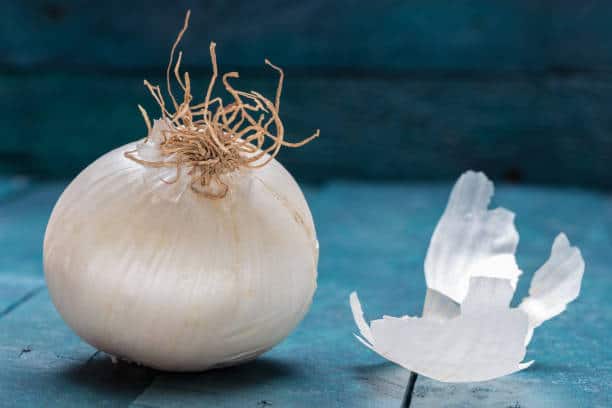 White Onion Health Benefits : कांदा जेवणाची चव वाढवतोच. तसेच कांदा आरोग्यासाठी फायदेशीर आहे.