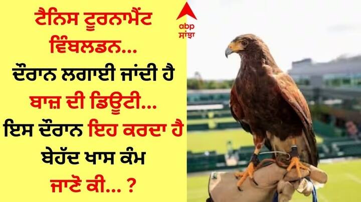 Who Is Rufus The Hawk Eagle: ਦੁਨੀਆ ਦਾ ਸਭ ਤੋਂ ਪੁਰਾਣਾ ਅਤੇ ਵੱਕਾਰੀ ਟੈਨਿਸ ਟੂਰਨਾਮੈਂਟ ਵਿੰਬਲਡਨ ਇਸ ਵਾਰ 3 ਜੁਲਾਈ ਤੋਂ ਸ਼ੁਰੂ ਹੋਣ ਜਾ ਰਿਹਾ ਹੈ। ਇਹ ਇਸ 146 ਸਾਲ ਪੁਰਾਣੇ ਗ੍ਰੈਂਡ ਸਲੈਮ ਦਾ 136ਵਾਂ ਐਡੀਸ਼ਨ ਹੋਵੇਗਾ।