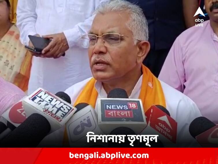 WB Panchayat Election 2023 : Dilip Ghosh attacks TMC on Basanti Murder Case mentioning Independent candidates Dilip on Basanti Murder : 'তৃণমূলে প্রায় ১২ হাজার নির্দল প্রার্থী দাঁড়িয়েছে', বাসন্তীতে খুনের ঘটনায় খোঁচা দিলীপের