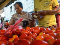 टमाटर क्यों हुआ 'लाल' और कब नीचे आएंगे दाम! सरकार की तरफ से आया ये जवाब
