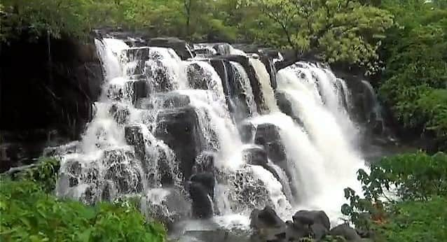 तळकोकणातील गर्द वनराईतून वाहत फेसाळत कोसळणारा सावडाव धबधबा प्रवाहित झाला आहे.