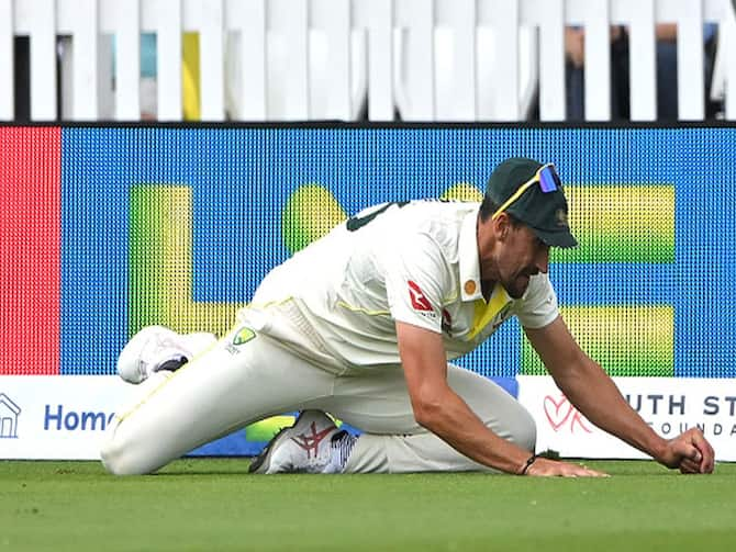 Mitchell Starc's 'Grounded' Catch Triggers Controversy. Here's Why It Was  Not Out. Watch